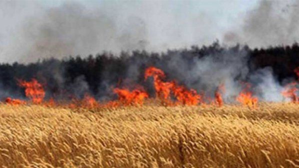 حرائق كبيرة تلتهم المحاصيل الزراعية في ريف حماة نتيجة استهدافها من قبل حواجز قوات النظام المحيطة