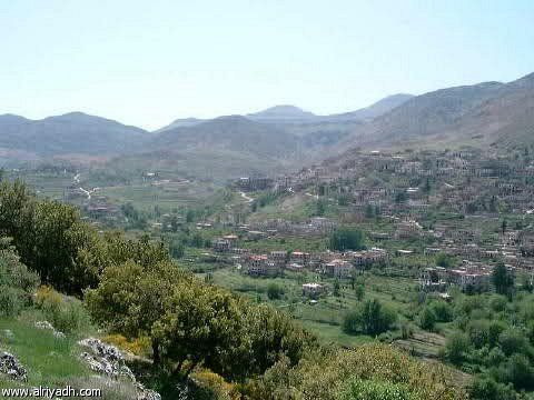 اقتصاد سوريا يحول دون تقسيمها سياسياً