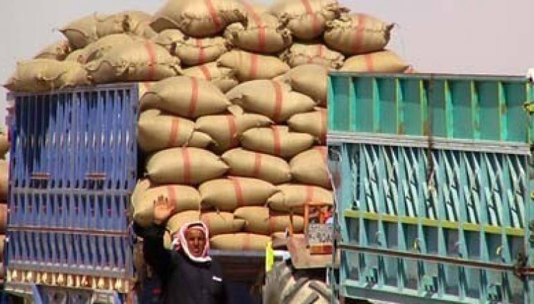 مشروع جديد لشراء قمح حلب...والكيلو يصل إلى 90 ليرة