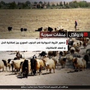تدهور الثروة الحيوانية في الجنوب السوري بين إمكانية الحل و ضعف الامكانيات