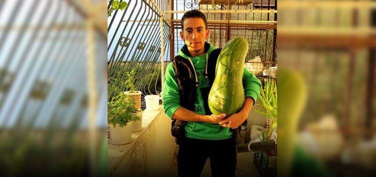 حبة "كوسا" تزن 7 كغ في حي الوعر المحاصر بمدينة حمص..!!