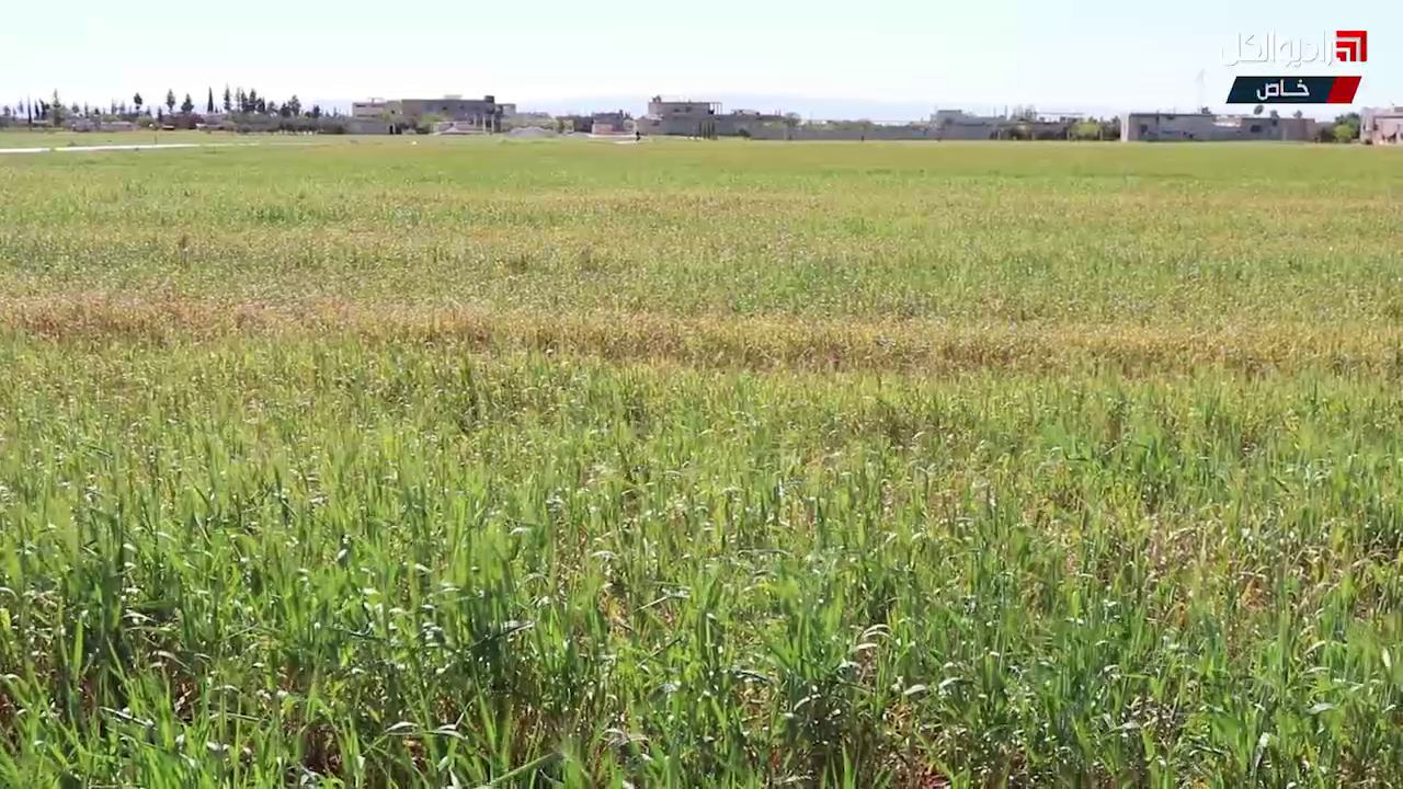 الاضطراب المناخي يؤدي إلى تدهور الزراعة شمالي حمص
