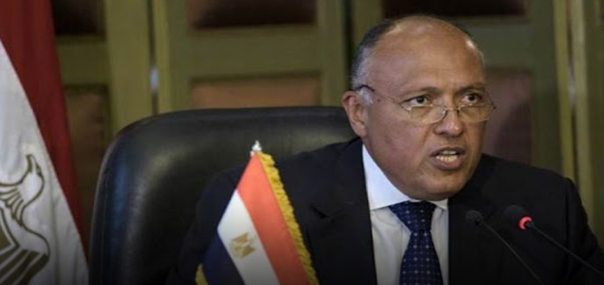 وزير الخارجية المصري يتراجع عن التحفظ على فكرة ارسال قوات عربية إلى سوريا