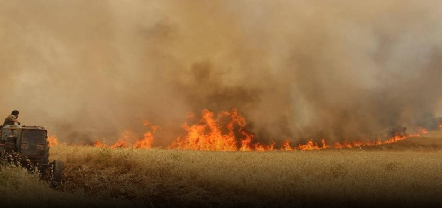 نحو 3 آلاف دونم خسائر المحاصيل الزراعية في حرائق الرقة
